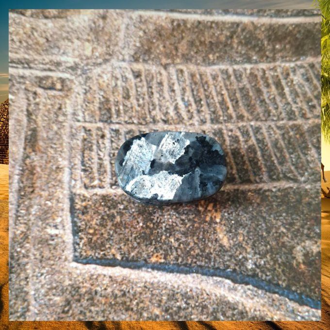 Scarabée en pierre naturelle - Larvikite